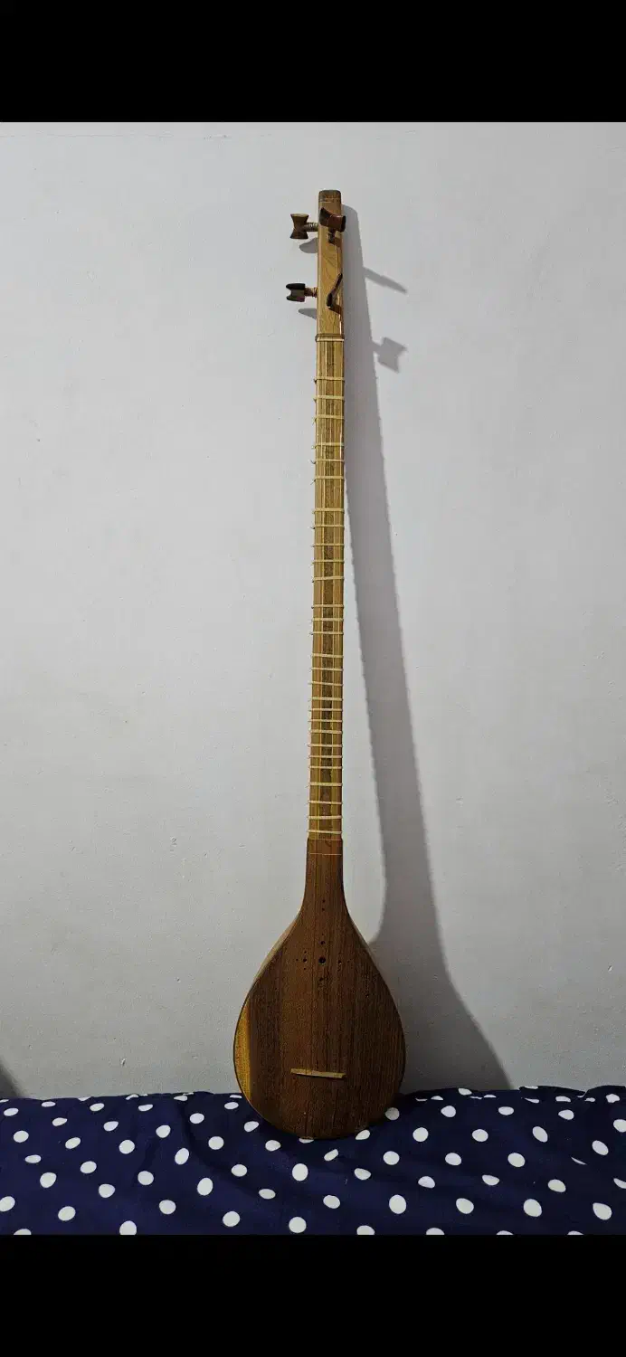 سه تار نو|سازهای سنتی|مشهد, دانشجو|دیوار