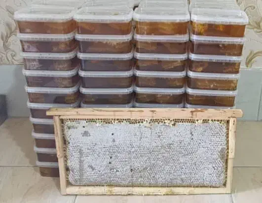 فروش مستقیم محصولات طبیعی (عسل باموم،عسل،ژل رویال)|خوردنی و آشامیدنی|داراب, |دیوار