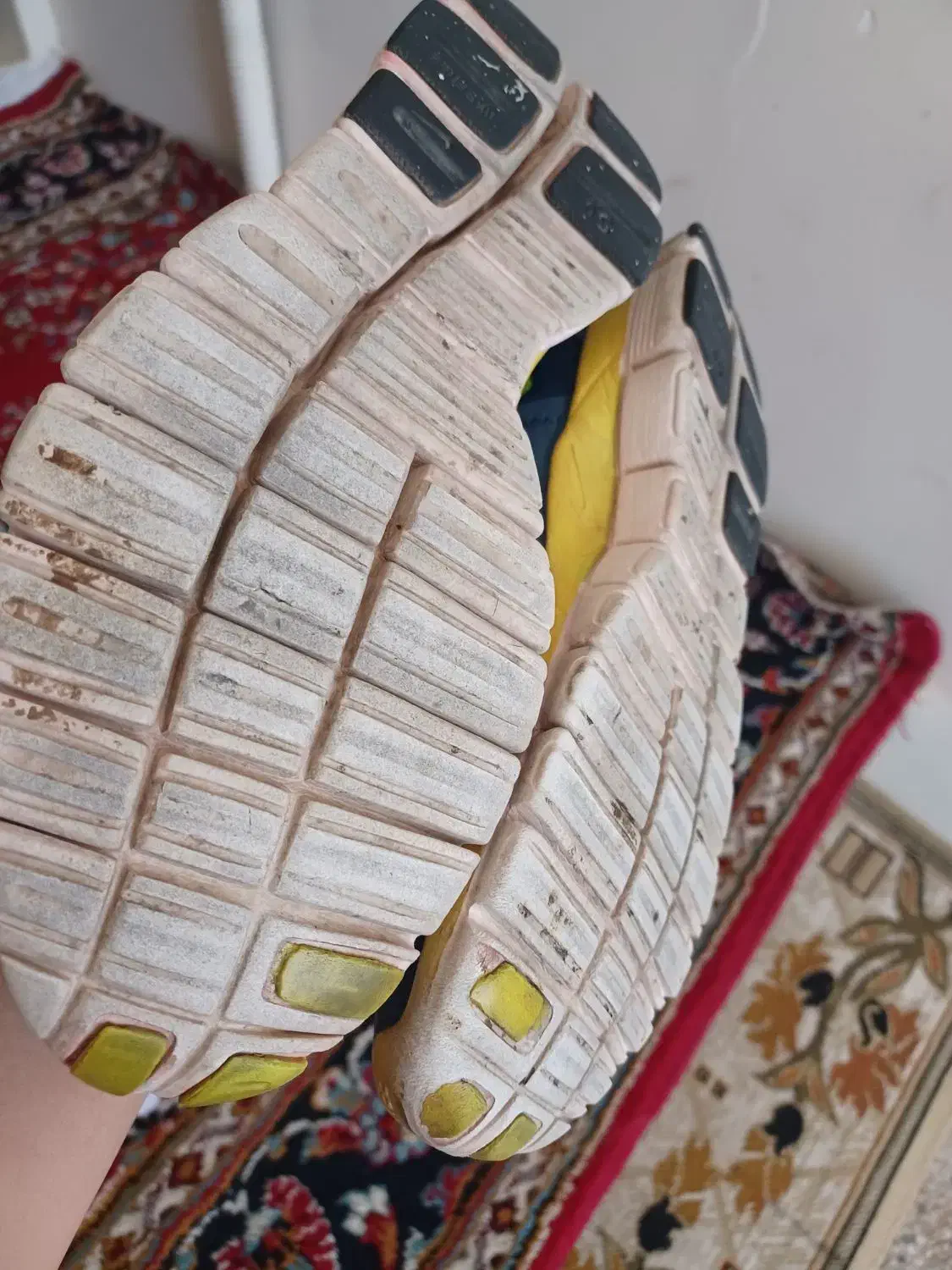 کتونی|کیف، کفش، کمربند|قیدار, |دیوار