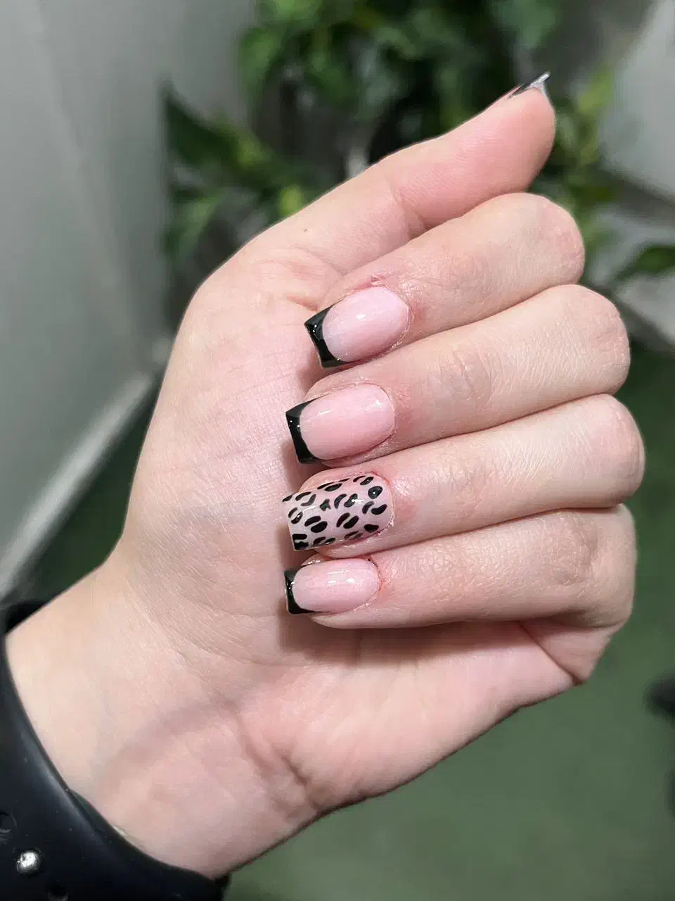 خدمات ناخن سلیمانی. کاشت ژل و پودر با بهترین کیفیت|خدمات آرایشگری و زیبایی|جهرم, |دیوار