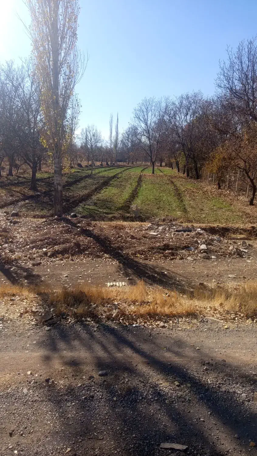 زمین|فروش زمین و ملک کلنگی|خرمدره, |دیوار