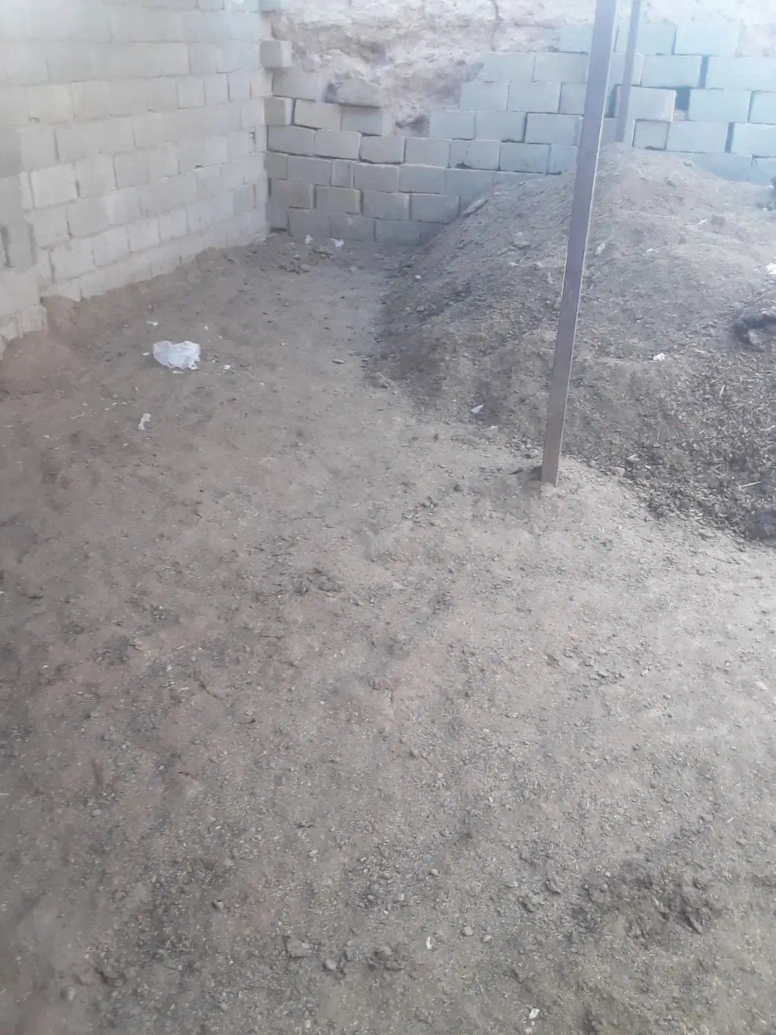 کود گاوی کهنه|خدمات باغبانی و درختکاری|زاهدان, |دیوار