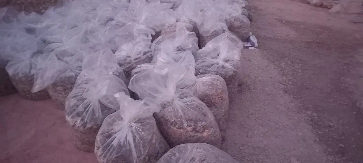 خوراک دام|عمدهفروشی|مهدی شهر, |دیوار