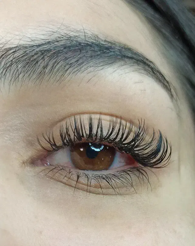 مدل مژه|خدمات آرایشگری و زیبایی|قرچک, مهدیه|دیوار