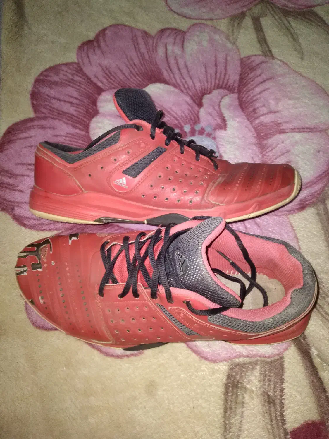 کفش سالنی|کیف، کفش، کمربند|گرگان, |دیوار