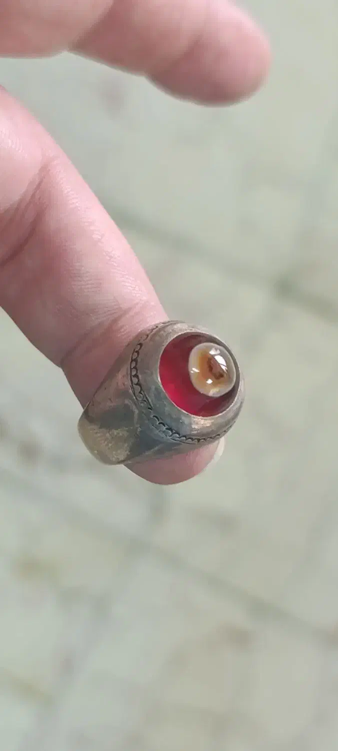 باباقوری سرخ تک چشم|جواهرات|بندر ماهشهر, |دیوار