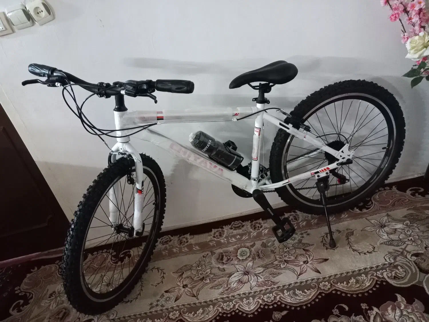 دورچرخه نو|دوچرخه، اسکیت، اسکوتر|اسفراین, |دیوار