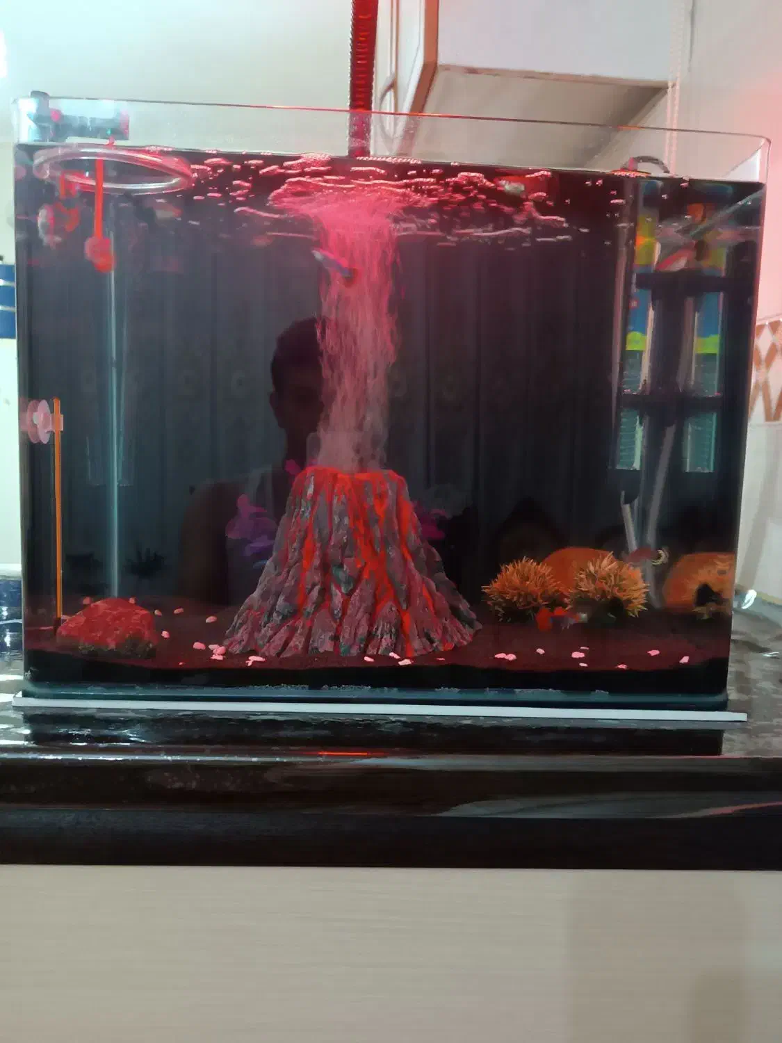 آکواریوم شیشه خم|ماهی|سراب, |دیوار