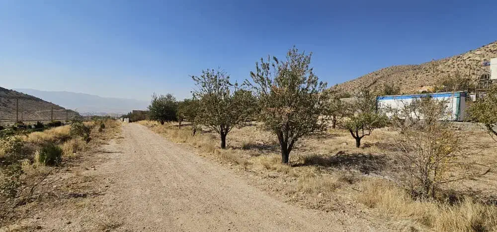 زمین ویلا مسکونی مجموعه قصر سبز صدرا|فروش زمین و ملک کلنگی|شیراز, باغشهر قصر سبز|دیوار