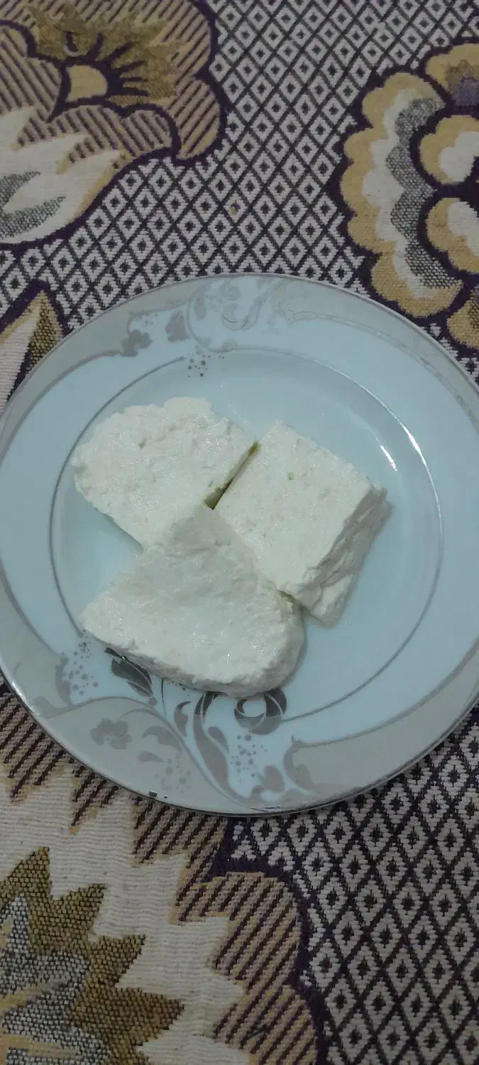 پنیرمحلی تازه|خوردنی و آشامیدنی|گنبد کاووس, |دیوار