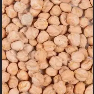نخود|خوردنی و آشامیدنی|چالوس, |دیوار