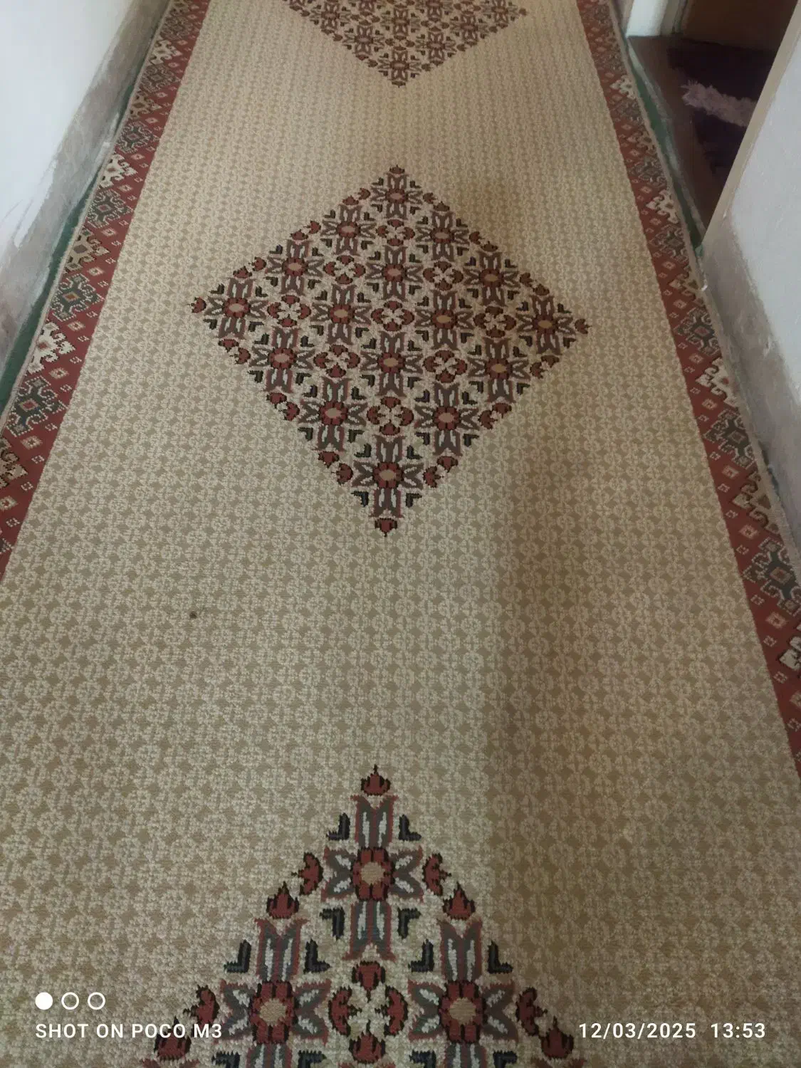 کناره فرش راهرویی|فرش|شیراز, پودنک|دیوار