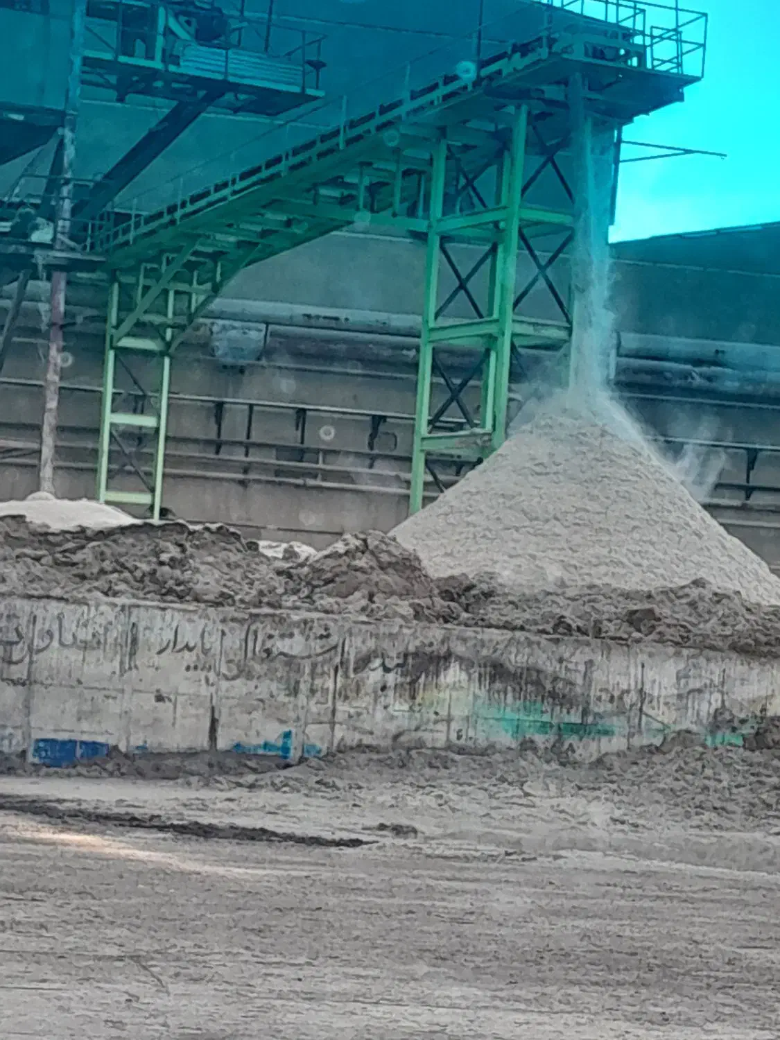 تفاله چغندر علوفه ذرت مخصوص برای دامداران|حیوانات مزرعه|چاراویماق, |دیوار