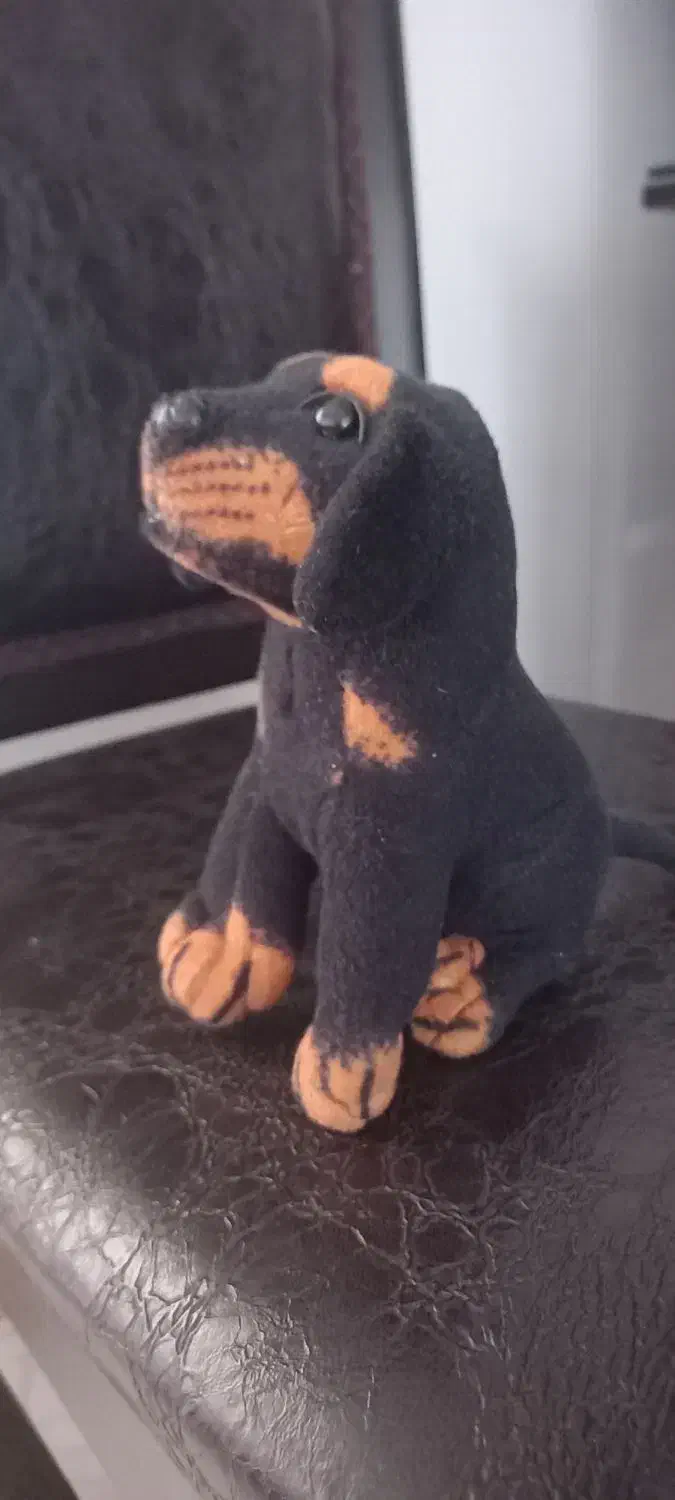 عروسک های پولیشی|اسباب‌‌بازی|دامغان, |دیوار