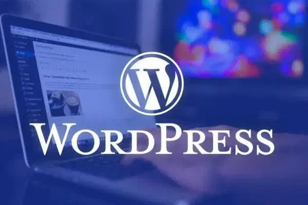 دوره آموزشی طراحی سایت با وردپرس|خدمات آموزشی|مشهد, مقدم|دیوار