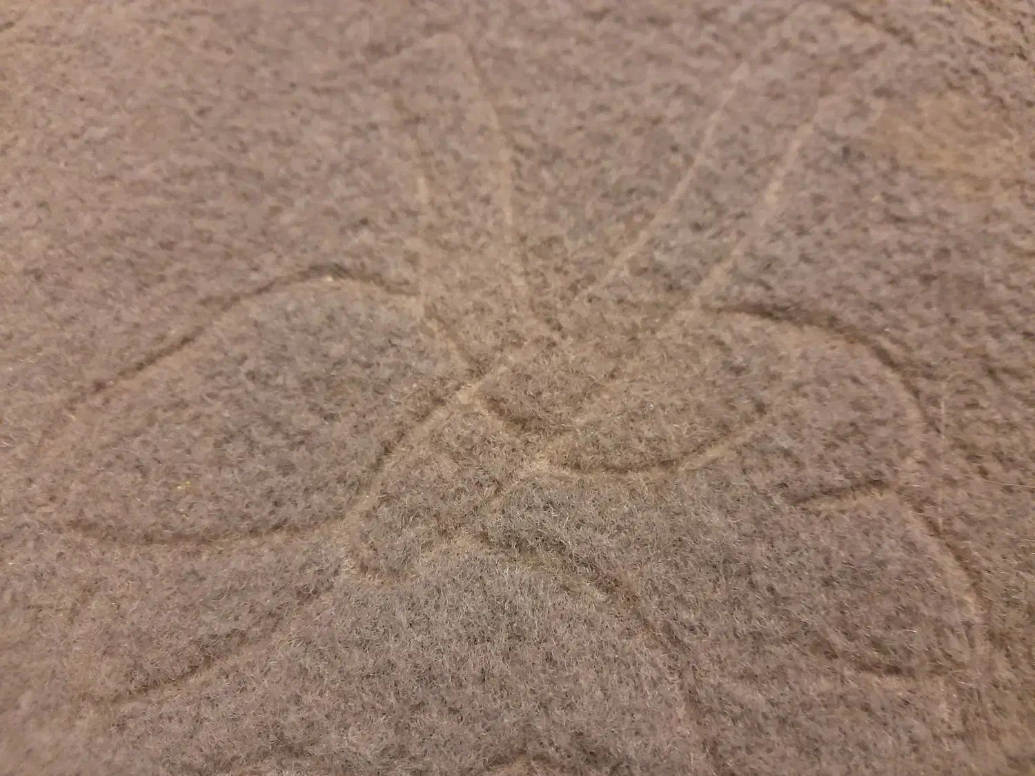 موکت|موکت|ارومیه, |دیوار