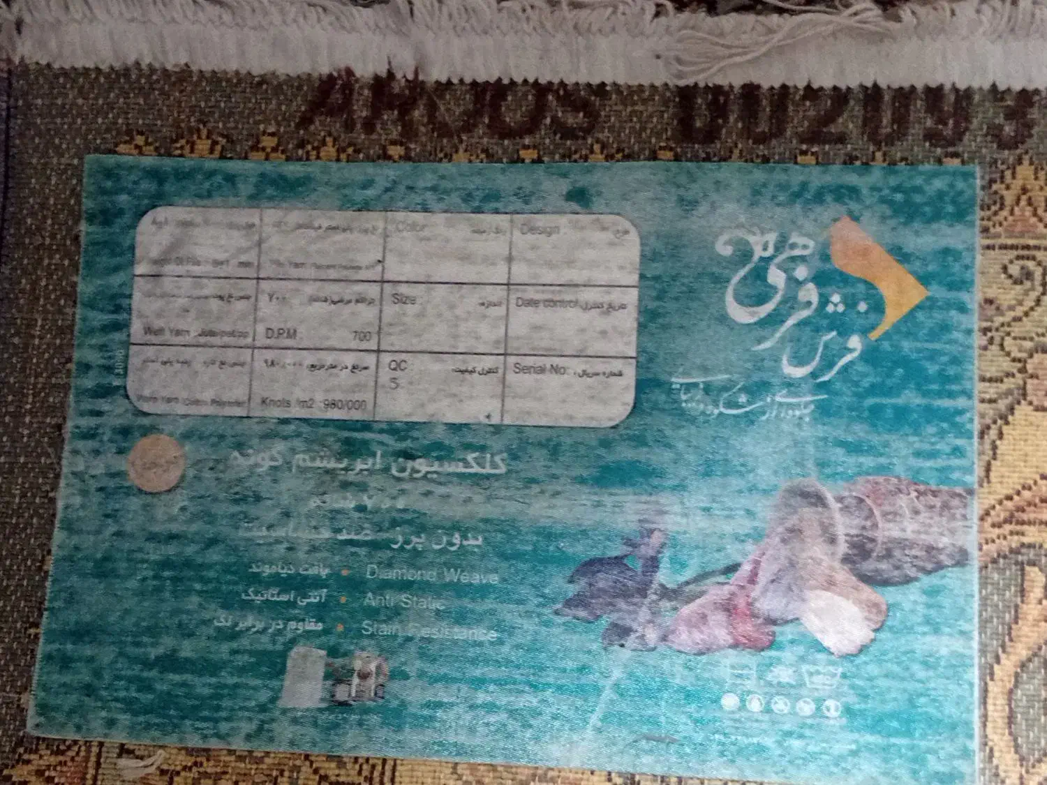 3 تخته فرش|فرش|رشت, کاکتوس|دیوار