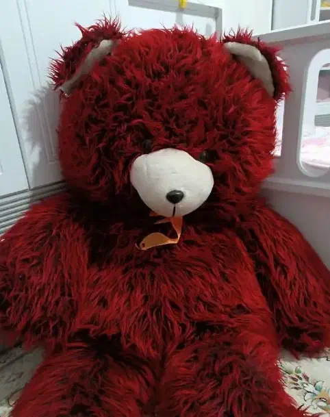 خرس ولنتاین و یلدا|اسباببازی|شیراز, شهرک مدرس|دیوار