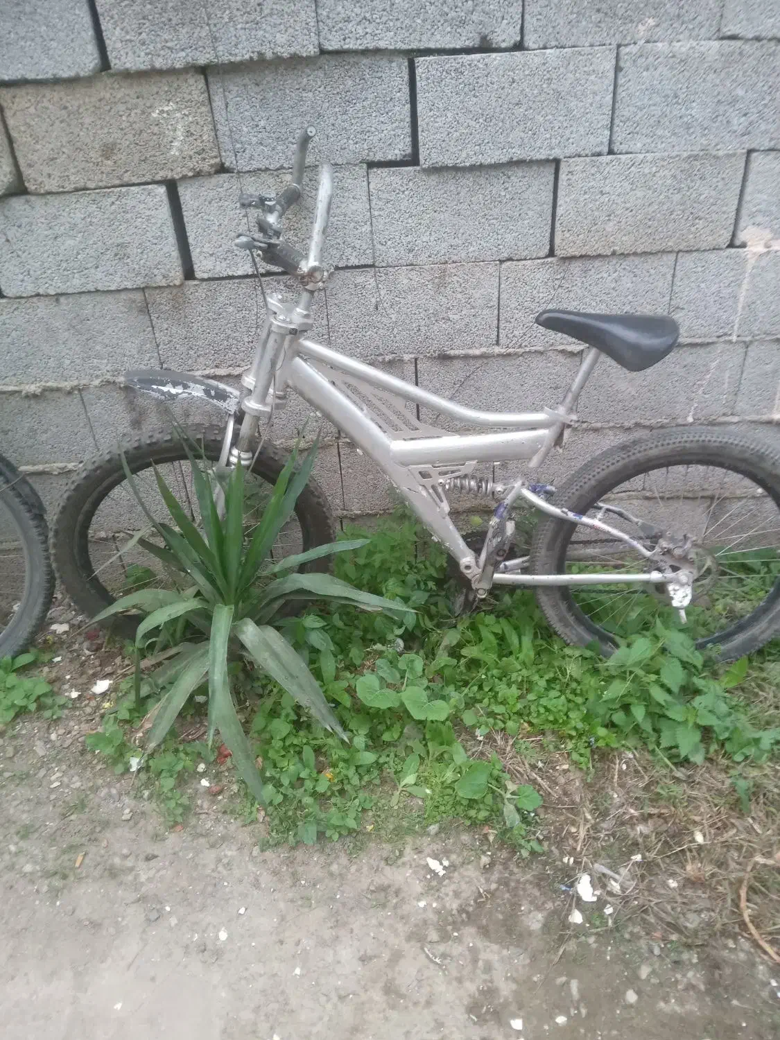 دوچرخه. سالم|دوچرخه، اسکیت، اسکوتر|ماسال, |دیوار