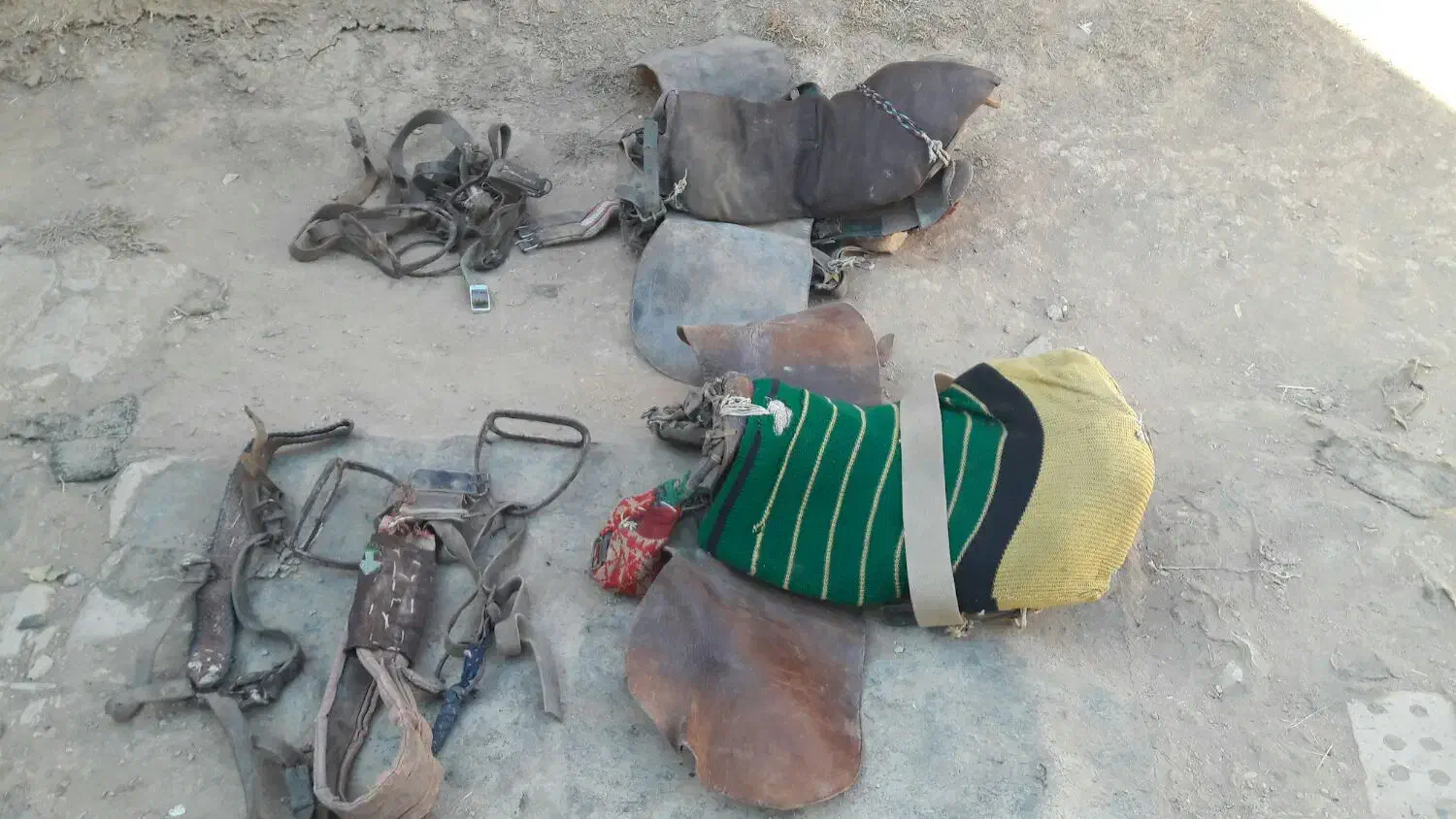 ۲عدد زین اسب در حد نو موجود است|اسب و تجهیزات اسبسواری|زنجان, |دیوار