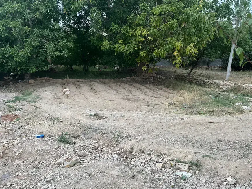 فروش زمین دیباج|فروش زمین و ملک کلنگی|دامغان, |دیوار