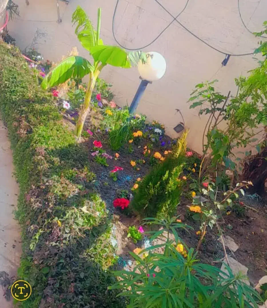 انجام کلیه کارهای باغبانی وباغچه|خدمات باغبانی و درختکاری|اهواز, بهارستان|دیوار