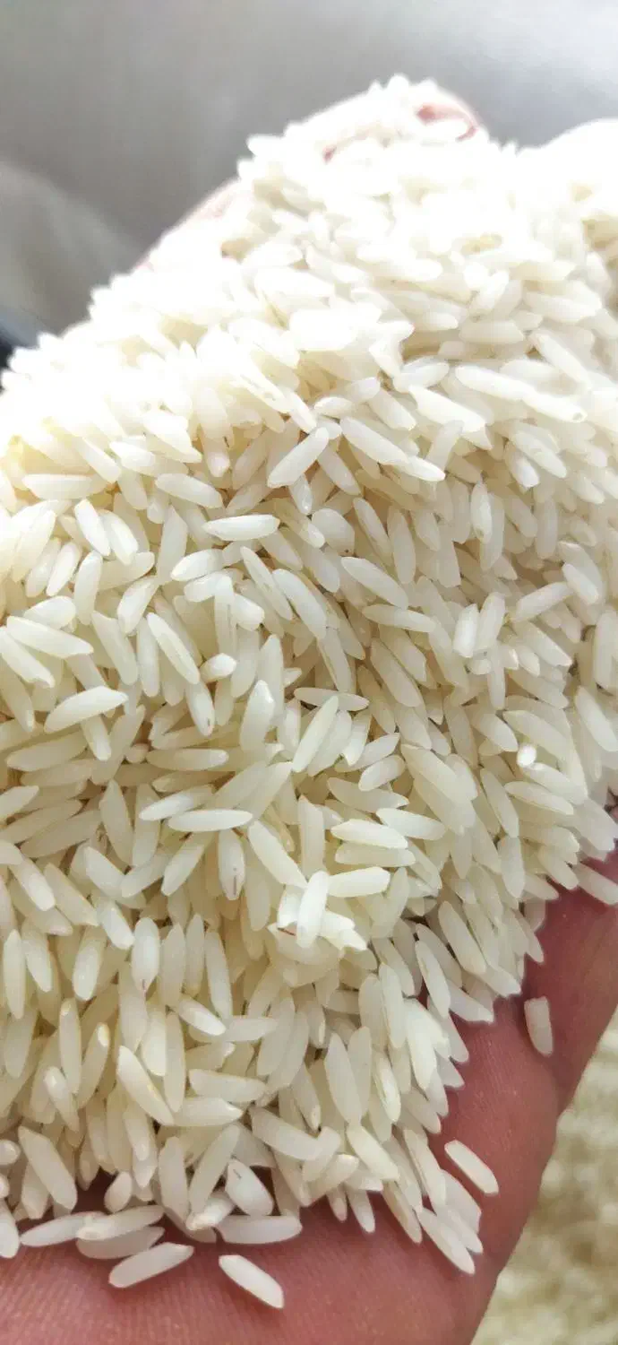 برنج  طارم هاشمی درجه 1|خوردنی و آشامیدنی|بهشهر, |دیوار