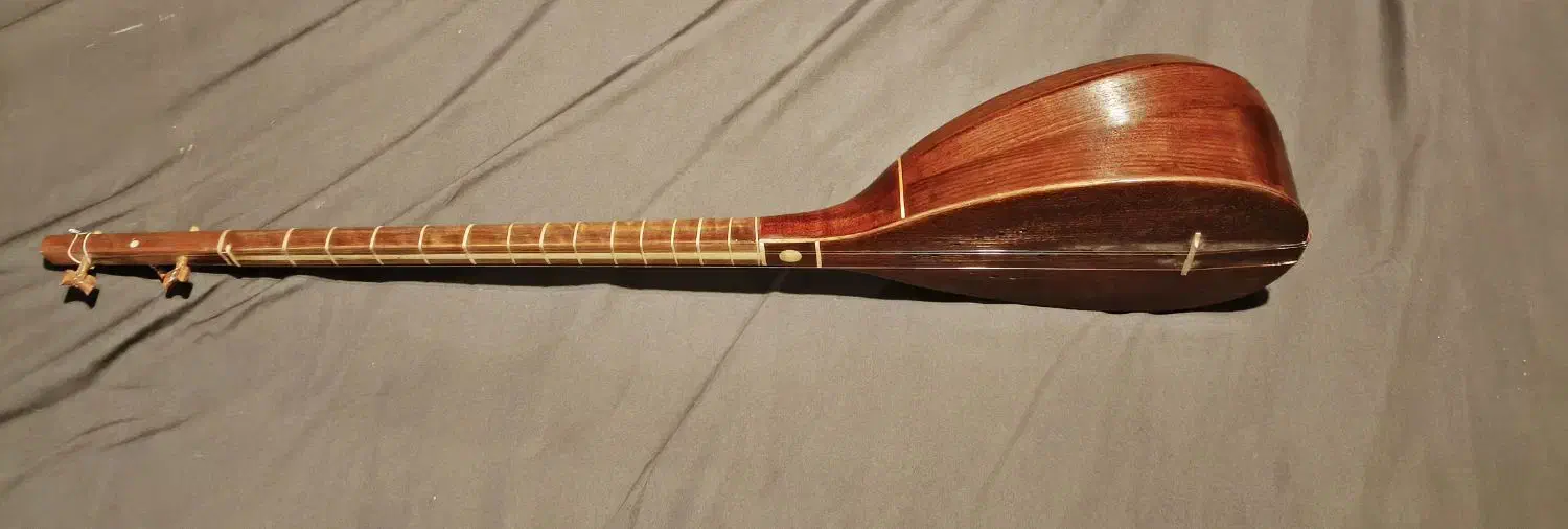 تنبور پاشنه ای کلانتری سالم  پاشنه ای کلانتری سالم|سازهای سنتی|تهران, سازمان برنامه جنوبی|دیوار