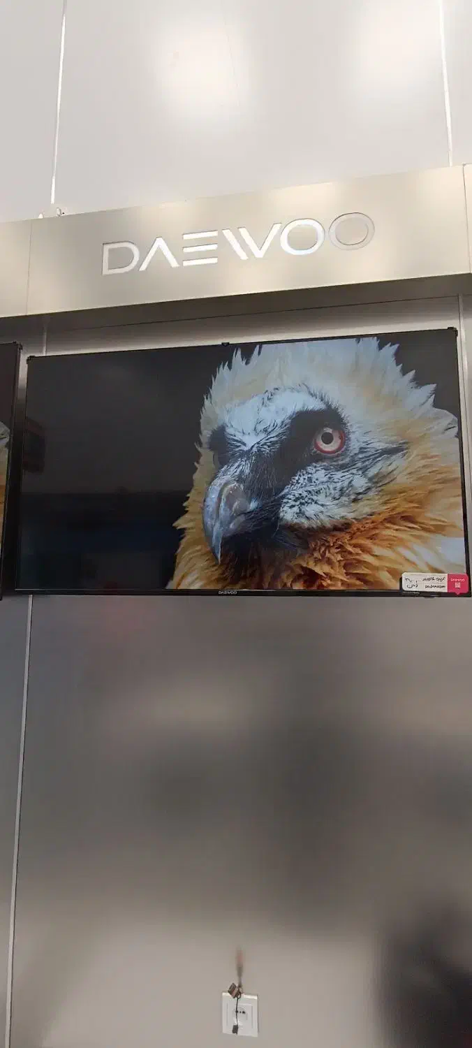 تلویزیون 55 اینچ دوو جشنواره یلدایی(طالقانی اراک)|تلویزیون و پروژکتور|اراک, |دیوار