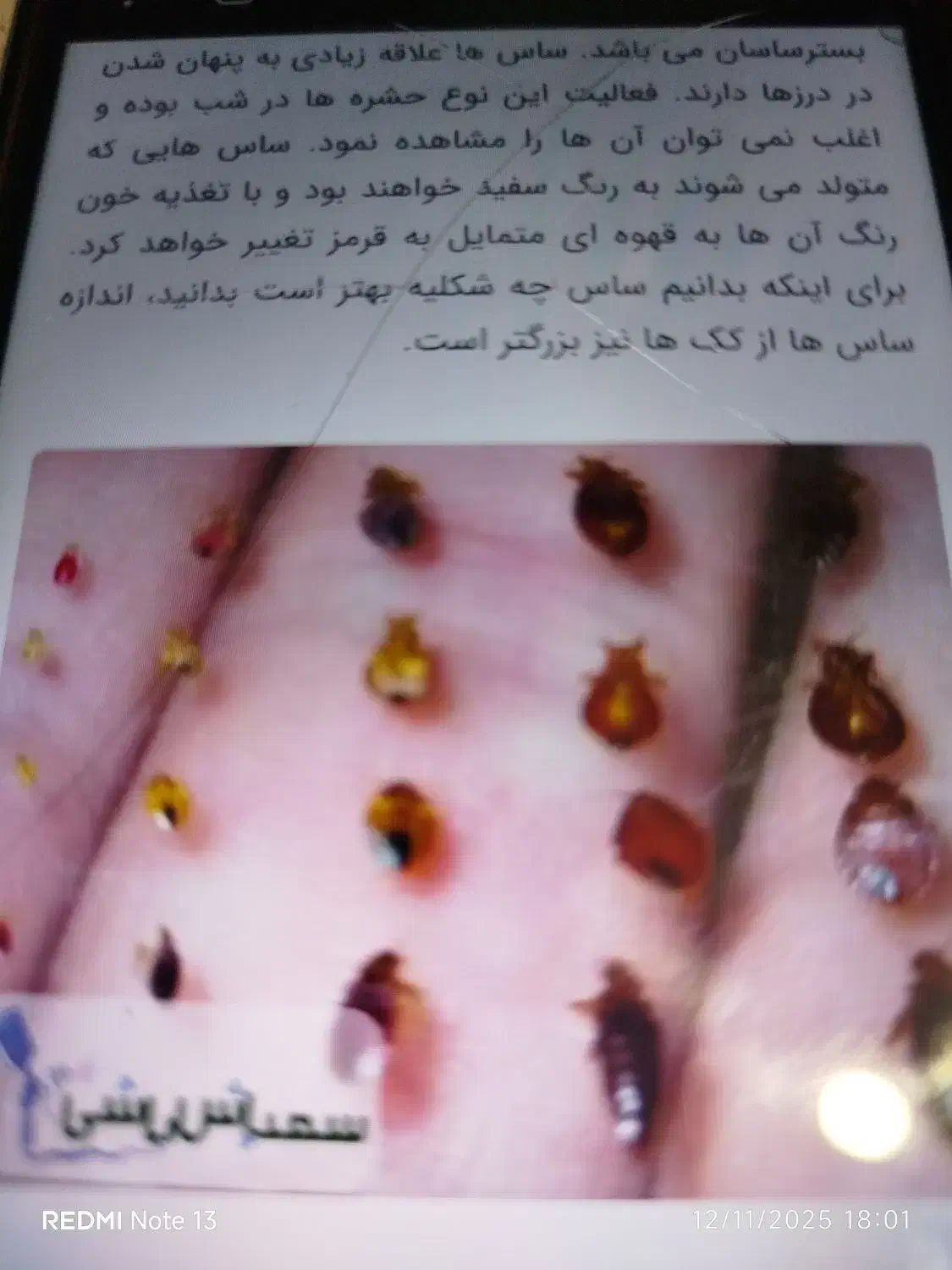 سم پاشی منازل و کارگاه های صنعتی و دام و طیور|خدمات نظافت|محمدیه-قزوین, |دیوار