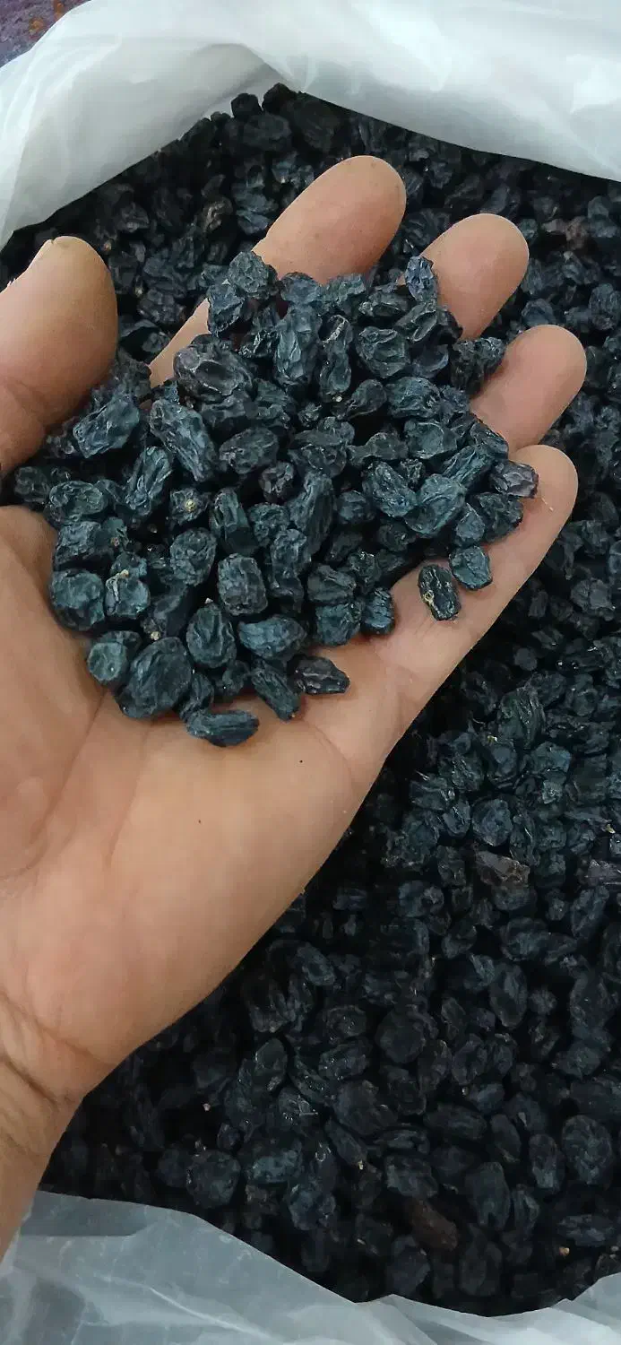 کشمش مویز بیدانه|خوردنی و آشامیدنی|تاکستان, |دیوار