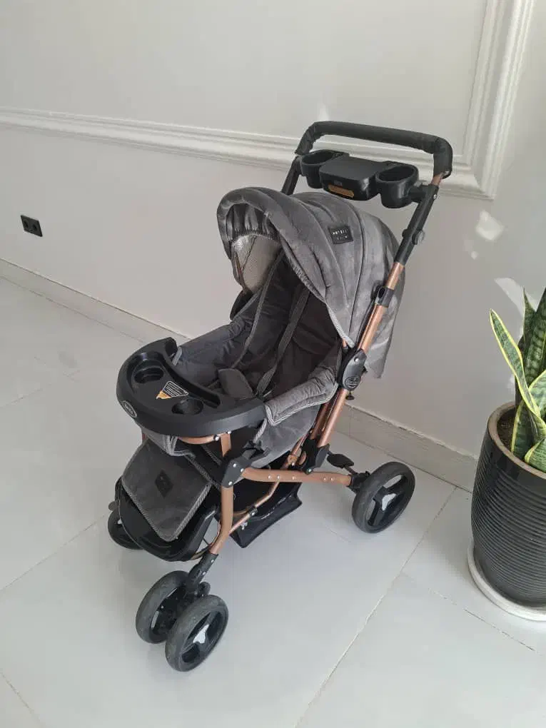 کالسکه|کالسکه و لوازم جانبی|شوش, |دیوار