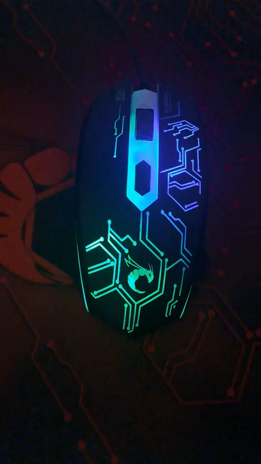 موس + کیبورد + موس پد|قطعات و لوازم جانبی رایانه|چابکسر, |دیوار