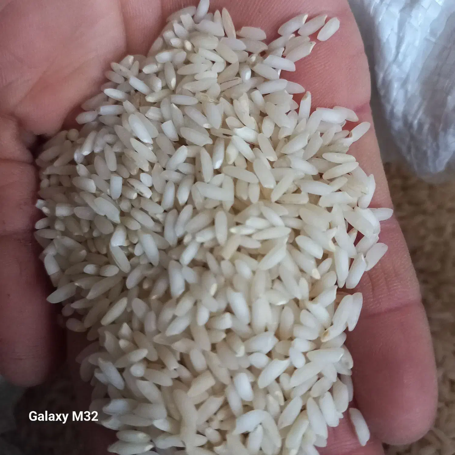 برنج عنبر بو|خوردنی و آشامیدنی|شوشتر, |دیوار