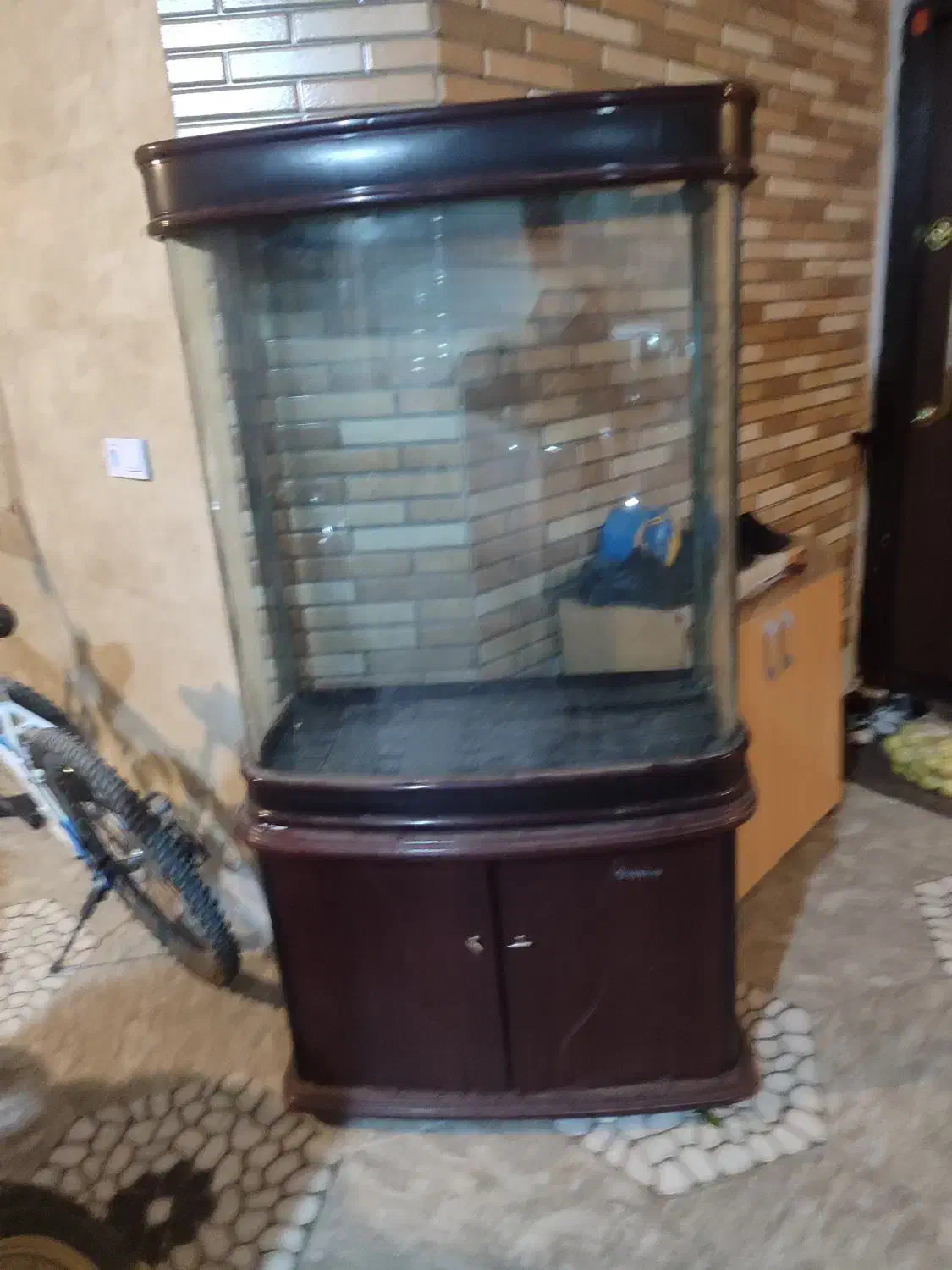 اکواریوم|ماهی|شیروان (خراسان), |دیوار