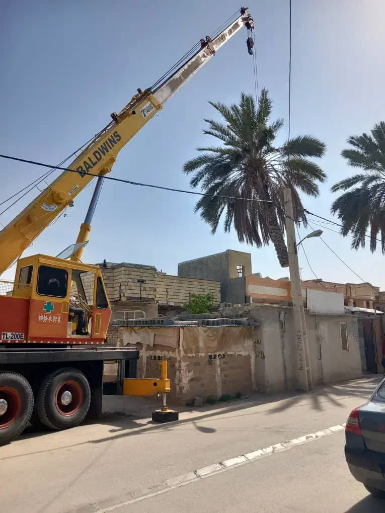 قطع نخل ودرخت درباغ ومنزل|خدمات باغبانی و درختکاری|جهرم, |دیوار