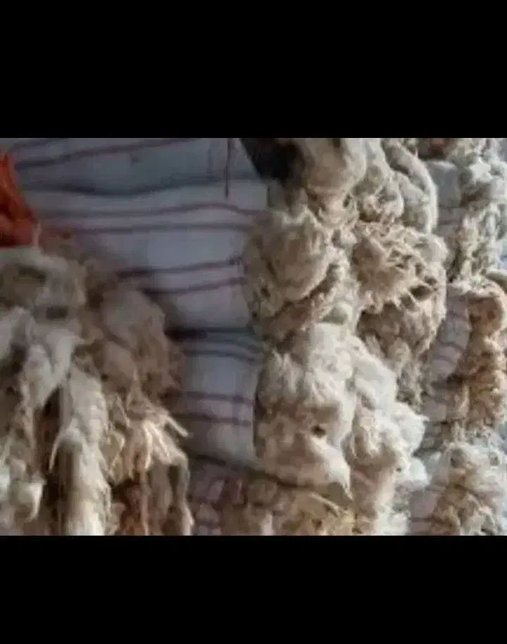 پشم گوسفند|رختخواب، بالش، پتو|اهواز, حصیرآباد|دیوار