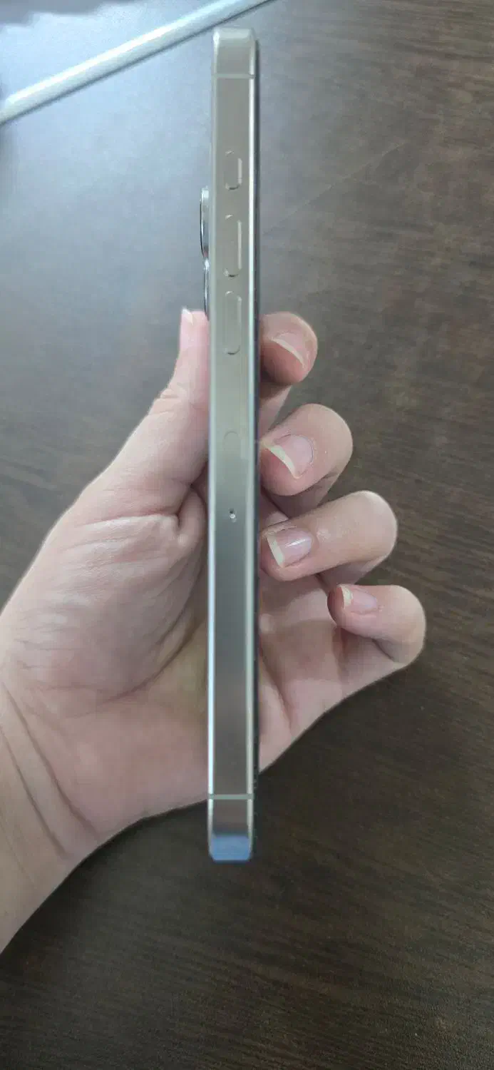 گوشی آیفون 16 پرومکس 256|موبایل|قم, بنیاد|دیوار