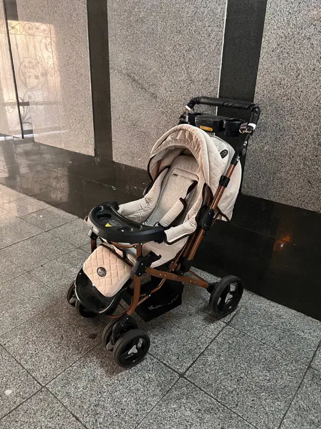 کالسکه دلیجان|کالسکه و لوازم جانبی|تهران, هروی|دیوار