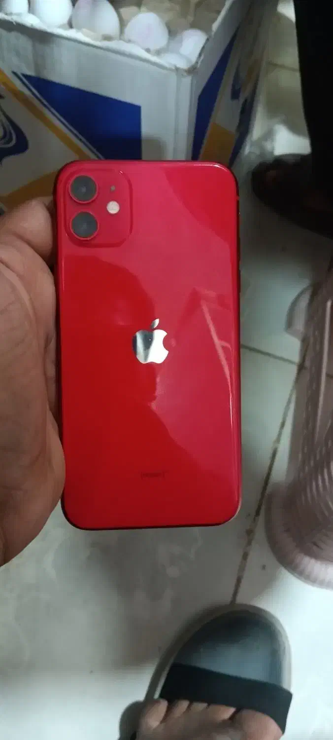 ایفون11نرمال|موبایل|چابهار, |دیوار