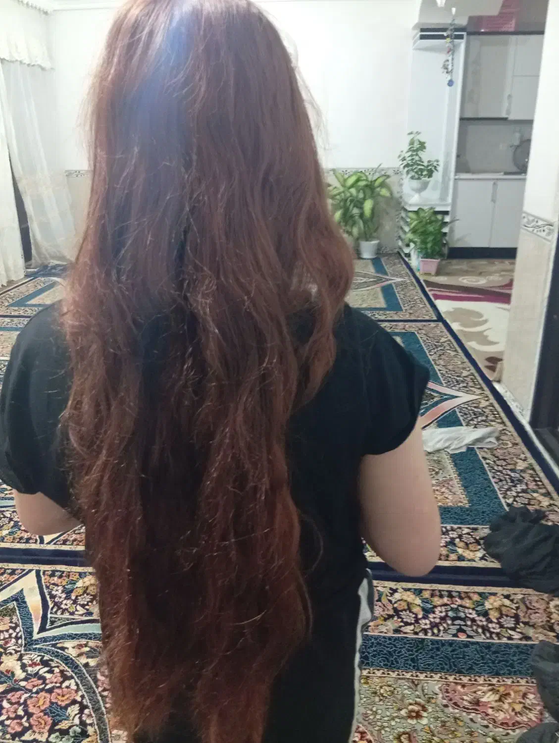 مو سر|آرایشی، بهداشتی، درمانی|زرنه, |دیوار