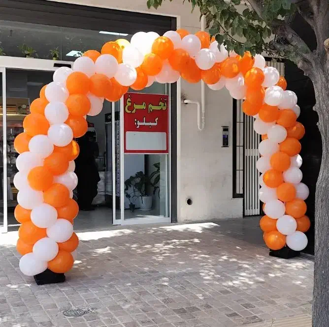 اجرای طاق ورودی بادکنکی سریع باکیفیت|خدمات پذیرایی، مراسم|شیراز, قدوسی غربی|دیوار