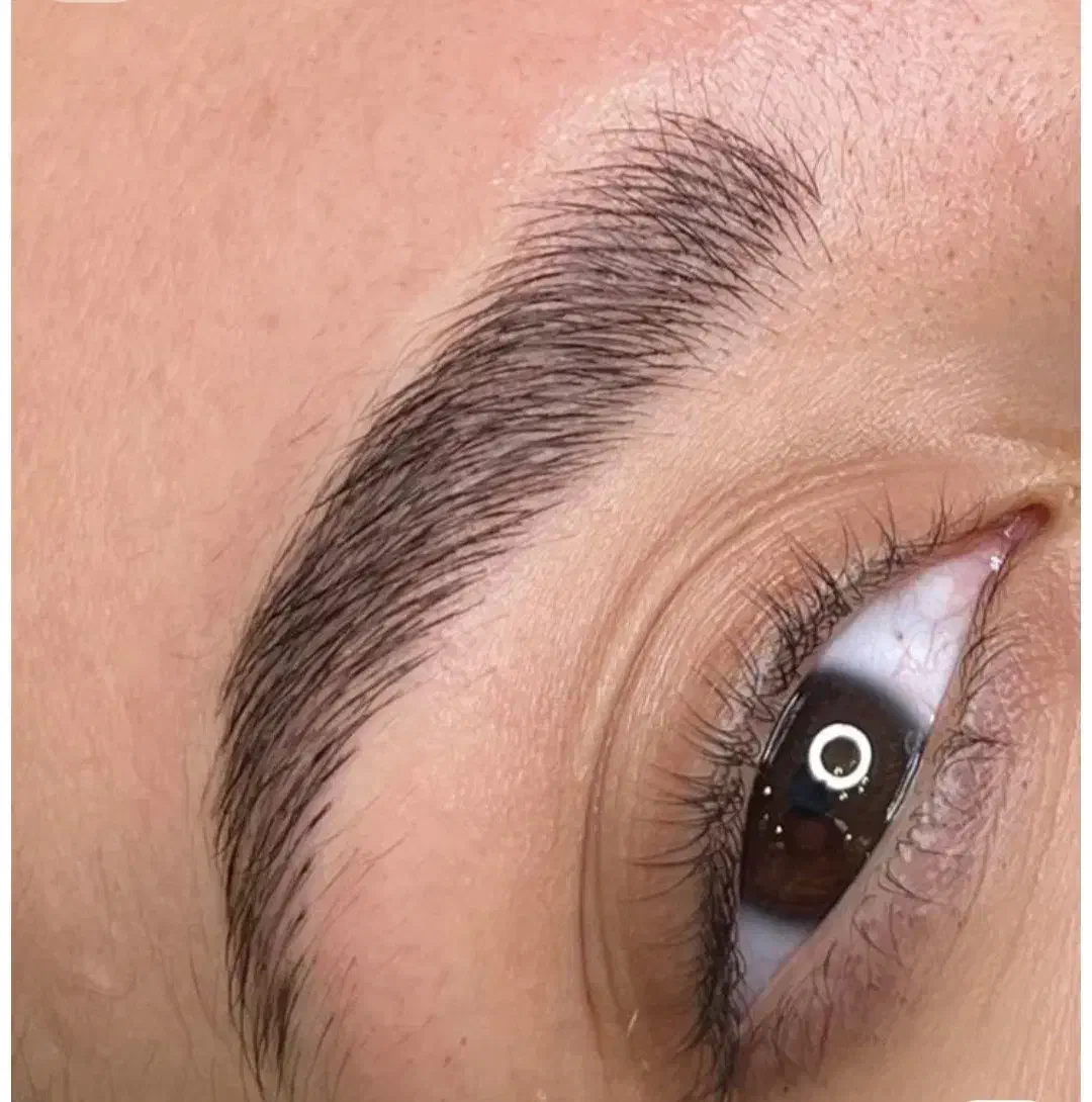 مدل آرایش دائم|خدمات آرایشگری و زیبایی|شهرضا, |دیوار