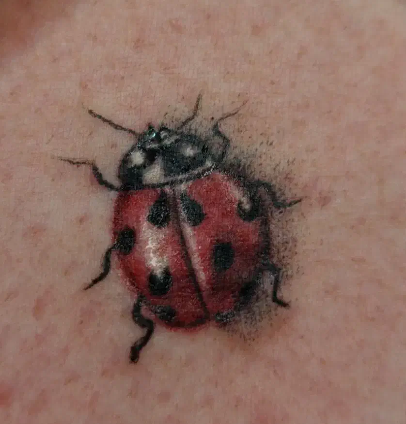 تتو حرفه ای بدن با تخفیف افتتاحیه|خدمات آرایشگری و زیبایی|سنندج, |دیوار