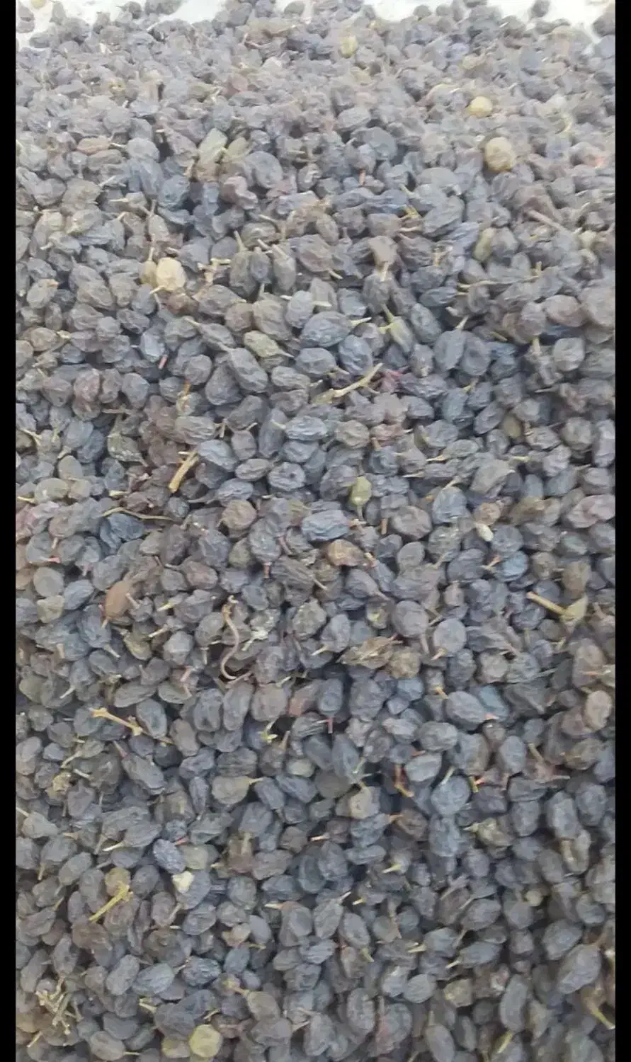 کشمش آفتابی تاکستان تحویل درب منزل|خوردنی و آشامیدنی|ساری, |دیوار