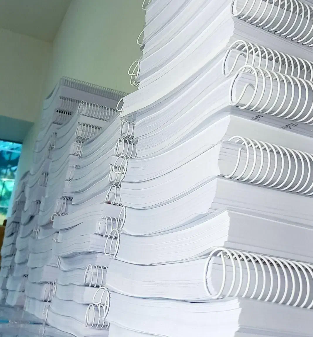 پرینت و کپی دانشجویی|خدمات رایانهای و موبایل|کرمانشاه, |دیوار