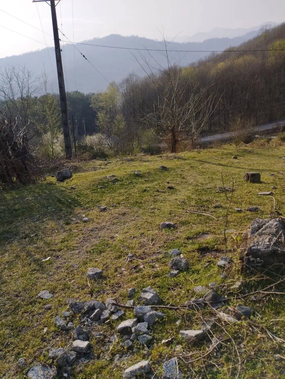 فروش فوری قطعه زمین باغی ۵۰۰متری منطقه بکر اطاقور|فروش زمین و ملک کلنگی|اطاقور, |دیوار