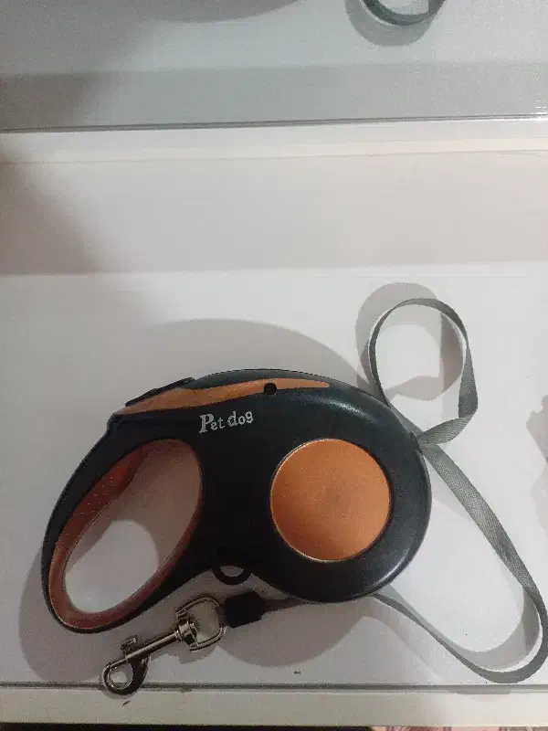 بندقلاده|لوازم جانبی حیوانات|سبزوار, قلعه‌نو دهزار|دیوار