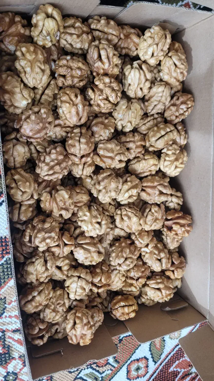 مغز گردو درجه۱|خوردنی و آشامیدنی|خوی, |دیوار