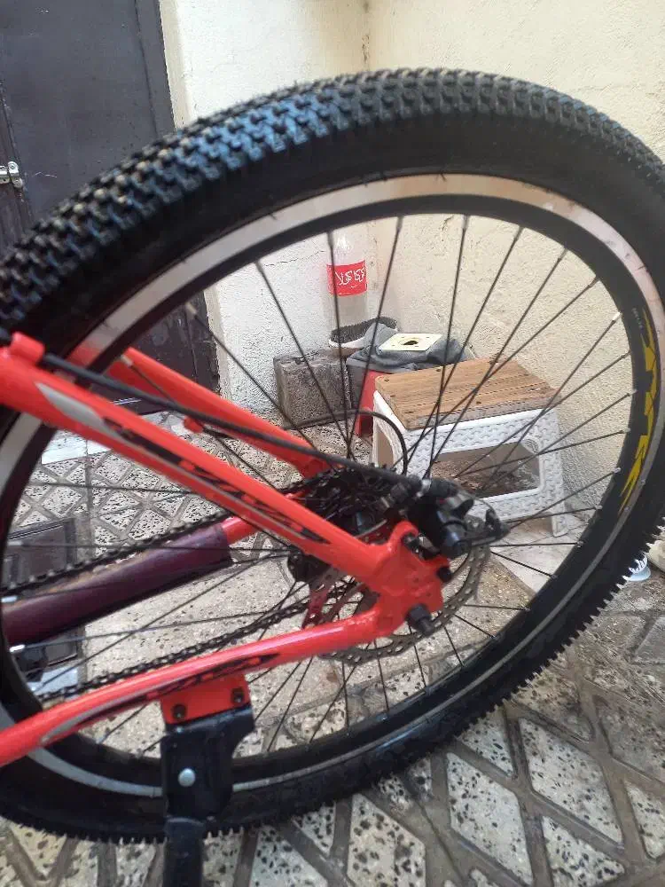 دوچرخه حرفه ای ویوا|دوچرخه، اسکیت، اسکوتر|ری, علایین|دیوار